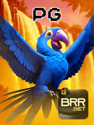 BRRBET bônus — cashback 15 por cento e níveis VIP